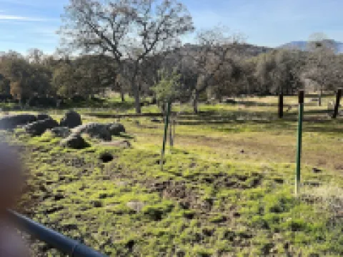 Twisted oaks forest cottage, Squaw Valley california Hotels in Squaw Valley