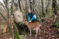 Nengshof apartment Buttercup