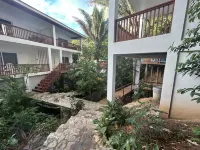 Caribbean Nest West End!