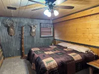 Hidden Cabin in the Woods