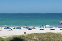 The Sea Scallop Minutes to Madeira Beach Hotels in Bay Pines