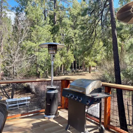 Charming 3-bedroom cabin with AC, WiFi in serene Idyllwild-Pine Cove
