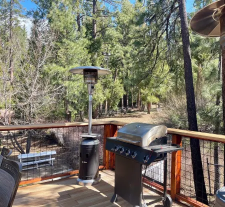 Charming 3-bedroom cabin with AC, WiFi in serene Idyllwild-Pine Cove