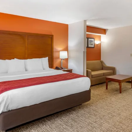 Comfort Inn Greensboro - Kernersville Отели рядом с достопримечательностью «Торговый центр Four Seasons»