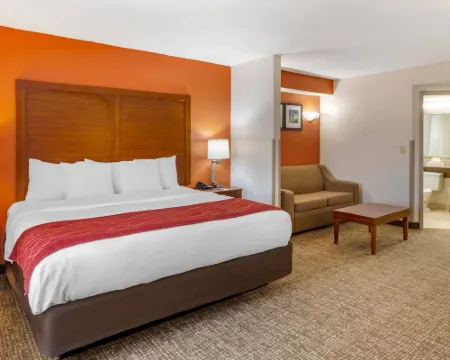 Comfort Inn Greensboro - Kernersville Hotels in Greensboro