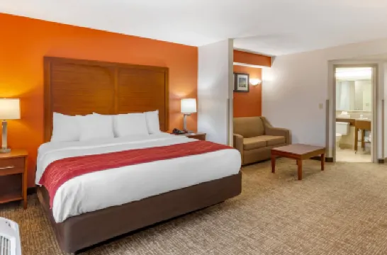 Comfort Inn Greensboro - Kernersville Hoteles en Greensboro