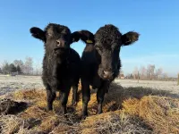 Cozy vacation apartment / fitter's room for 1-6 persons near Berlin FeWo 8. Hotels in Liebenwalde