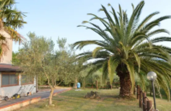 Family vacation home relaxation and nature