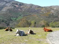 Casa da Veiga, comfort in the countryside.