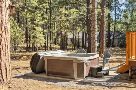 Remodeled Sisters Cabin - Hot Tub - Dog Friendly!