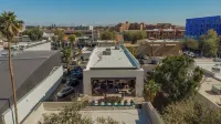 One Of A Kind Spacious Luxury Old Town Loft!