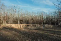 15 minutes from Fort Leonard Wood-rustic A-frame nestled on 5 acres