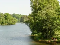 Rustic Retreat, Ovifat - Wifi