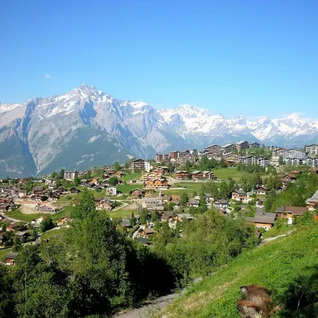 Charming apartment near ski area