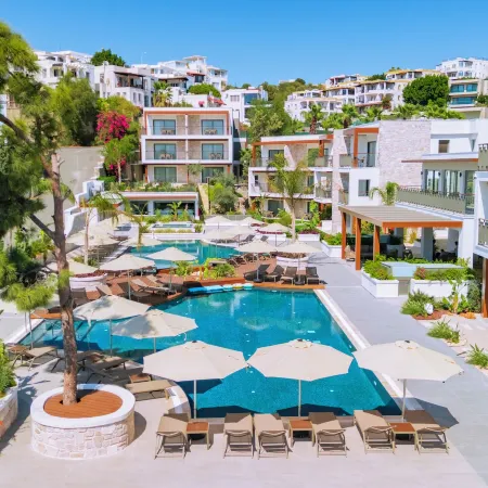 Ayaz Suites