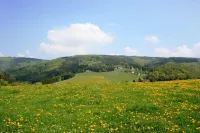Ferienwohnung Bei Willingen Mit Eigener Terrasse - Apartments