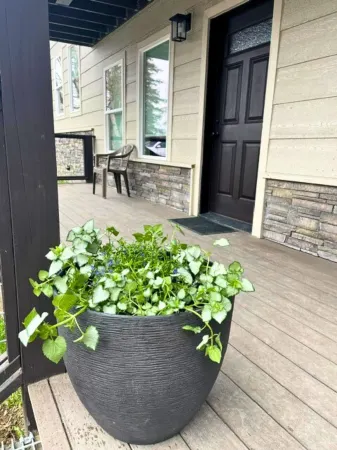 Alaska Lake + Lodge at Longmere