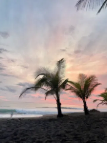 Tropical Camas Hotels in Playa Hermosa