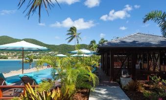 Curtain Bluff - All Inclusive
