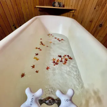 Parkview Lodge & Cabins