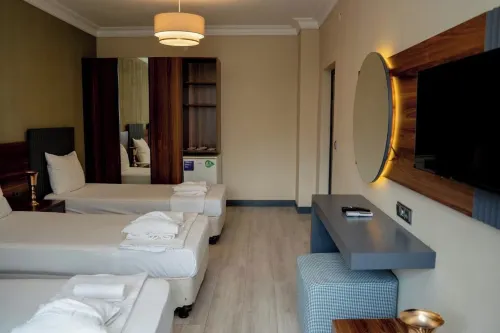 Altuncu Premium Termal Hotel Hotels in Armutlu