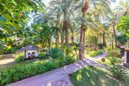 Hotel Huerto del Cura Hotels in 