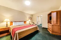 Econo Lodge Del Rio