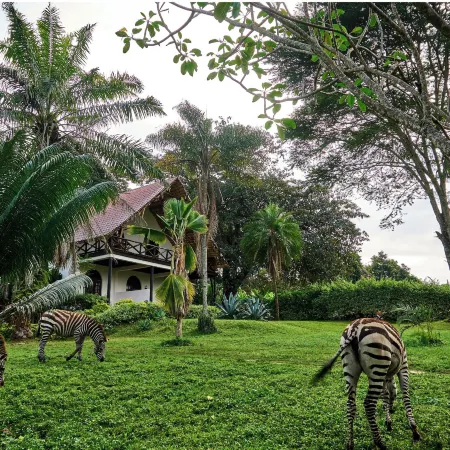 Arusha Safari Lodge