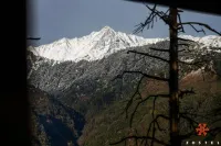 Zostel McLeodganj - ホステル