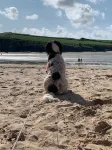 Cosy Family Cottage with Dog-Friendly Garden, Near Rock, Polzeath & Padstow - 3 Yıldız