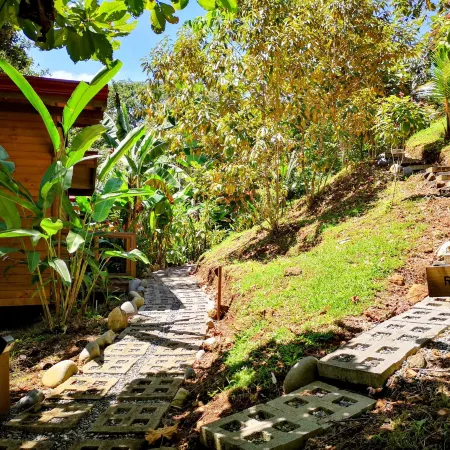 Thoas Lodge
