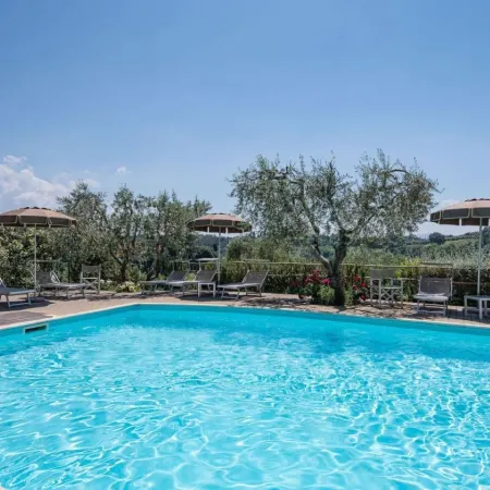 Oliveta Pettirosso in Gavignano