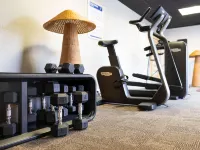 Ibis Montauban - Gym