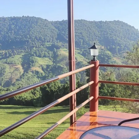 101 Tea Green View