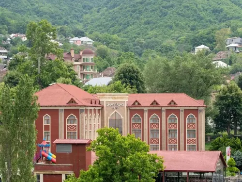 Sheki Palace Hotel - parcheggio