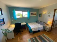 Colum Rine - Charming Villa w Private Pool Garden in Colomiers - Wifi