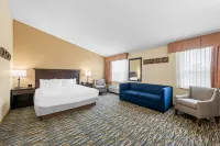 Comfort Inn at Thousand Hills - gimnasio