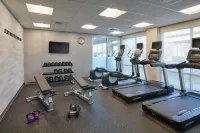 Fairfield Inn & Suites Chicago O'Hare - Gym