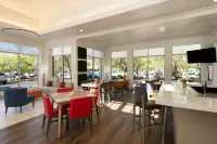 Hilton Garden Inn Tallahassee - bar