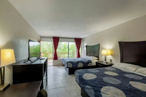 Executive Inn - acceptant les animaux