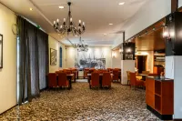 Hiisi Hotel Turku Seaport - Pet friendly