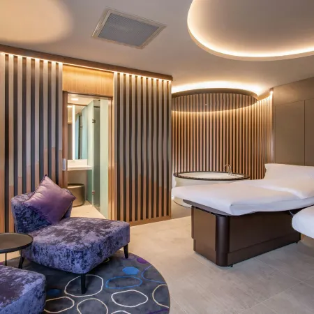 Sheraton Grand Tbilisi Metechi Palace