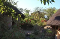 Huab Lodge & Bush Spa Hotels near Rock Engravings at Peet Alberts Koppie