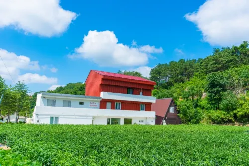 Andong Tom Sawyer's Adventure Pension