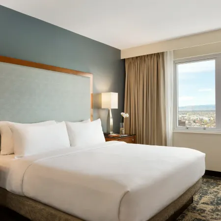 Embassy Suites by Hilton Denver Downtown Convention Center