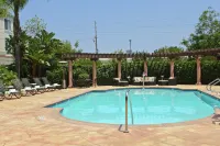 Hilton Garden Inn LAX - El Segundo - Pools