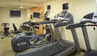 DoubleTree by Hilton Hotel Chicago Wood Dale - Elk Grove - Gym