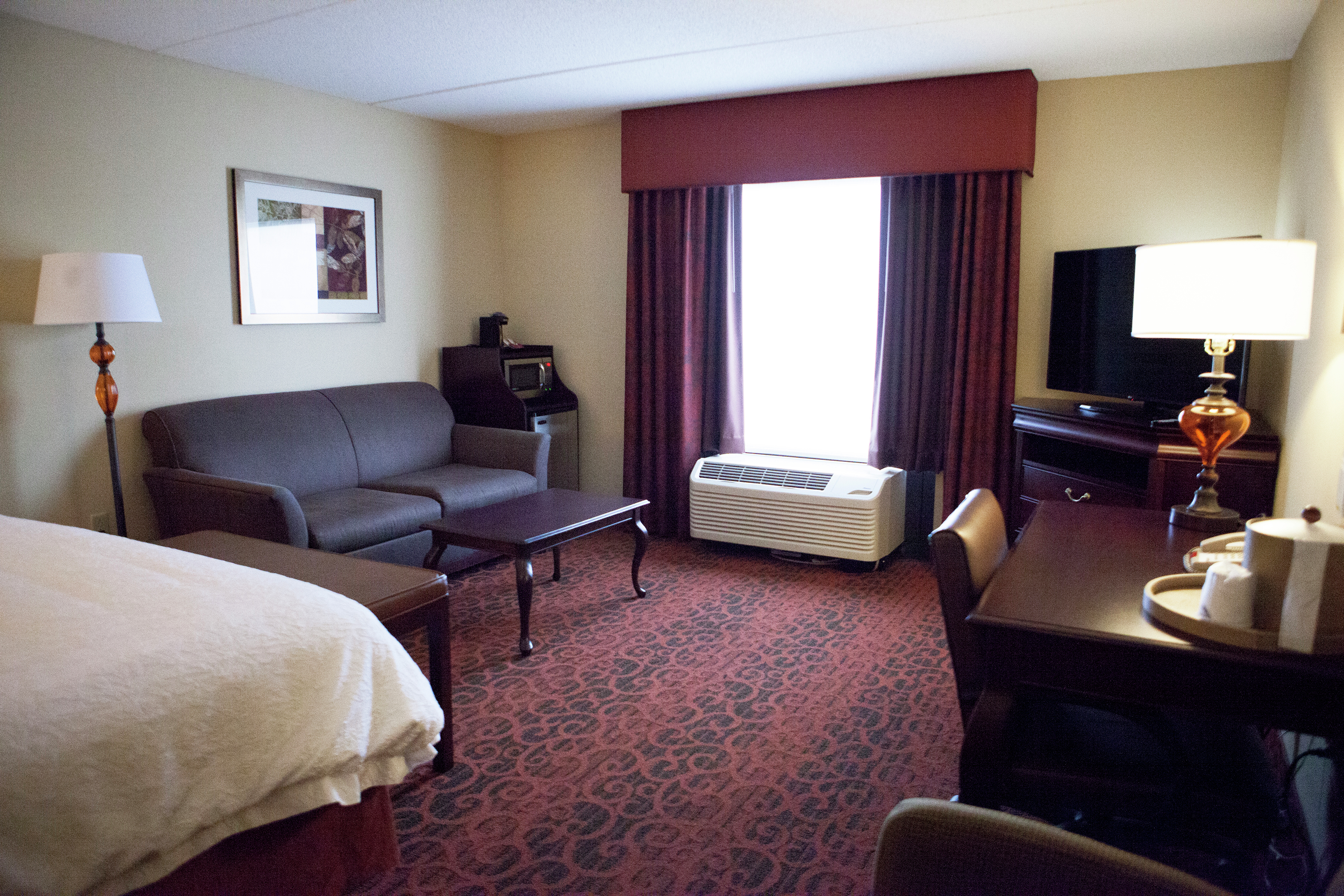 Hampton Inn Rochester-Webster