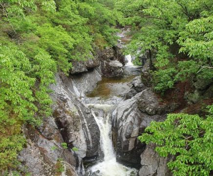숲속에산장펜션 객실 내부