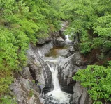 Uljin Forest Lodge Pension